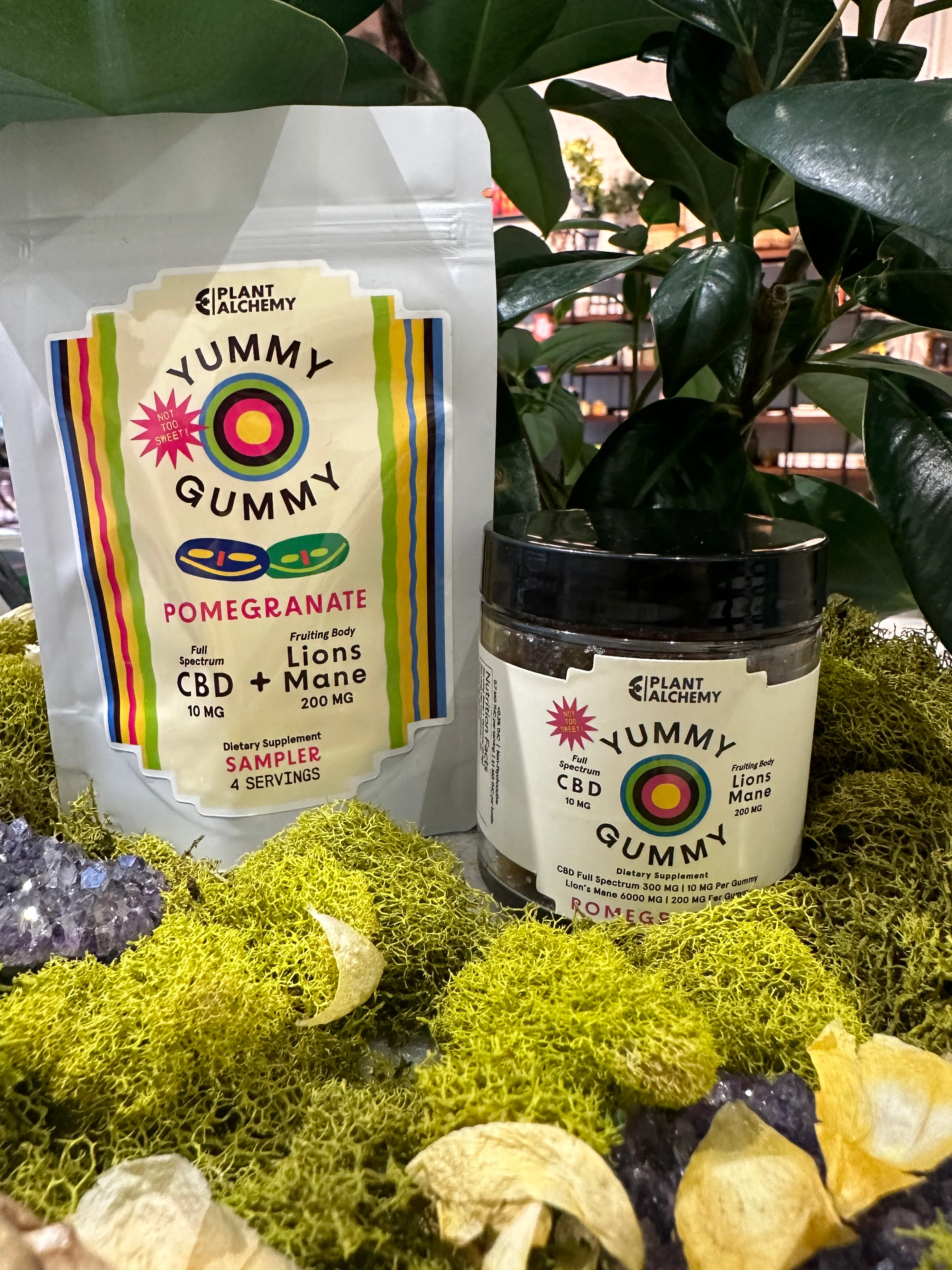 Yummy Gummy - Image 3