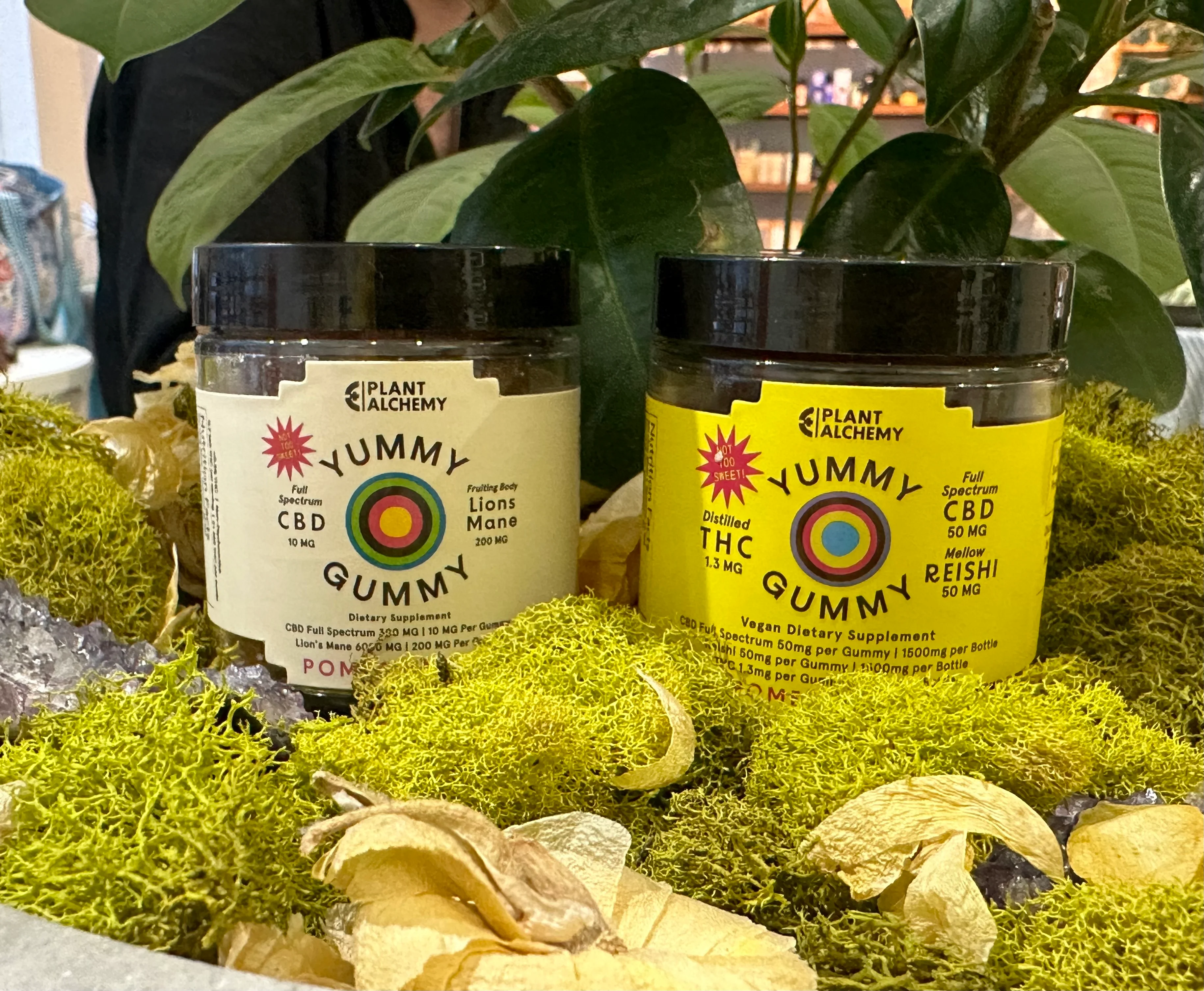 Yummy Gummy - Image 4